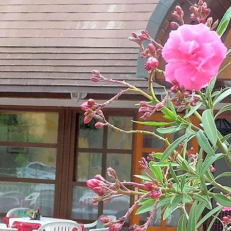 Oleander B&B *
