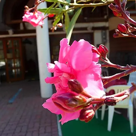 B&B Oleander 시오포크