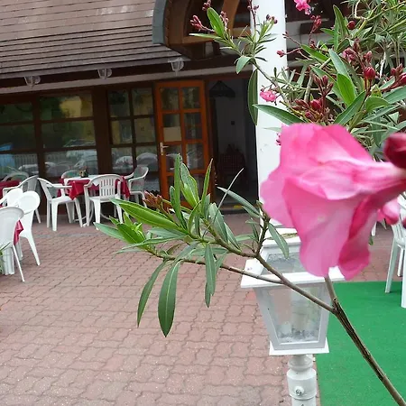 Panzió Oleander
