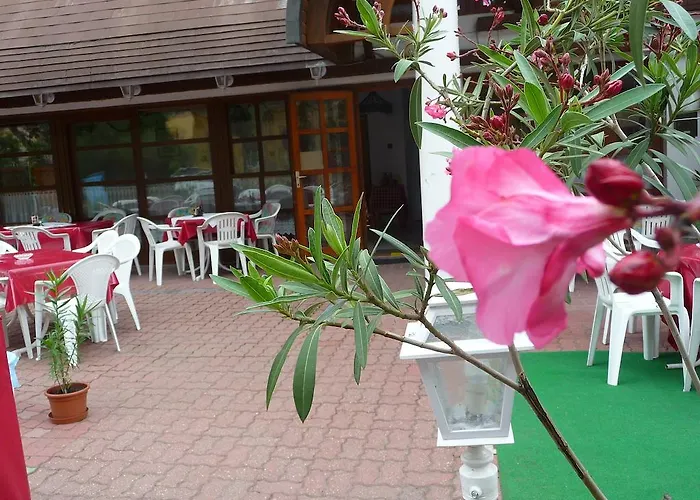 Nocleg ze śniadaniem Oleander